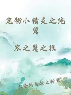 寵物小精靈之純翼