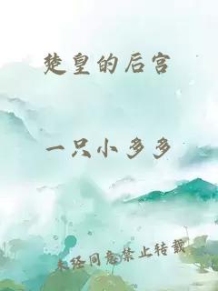 楚皇的后宮