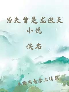 為夫曾是龍傲天小說