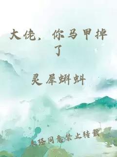 大佬，你馬甲掉了