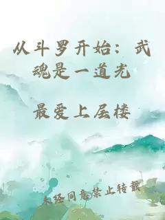 從斗羅開始：武魂是一道光