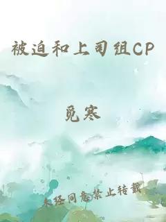 被迫和上司組CP