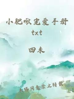 小肥啾寵愛手冊txt