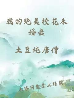 我的絕美校花未婚妻