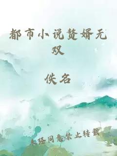都市小說(shuō)贅婿無(wú)雙