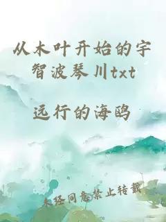 從木葉開始的宇智波琴川txt