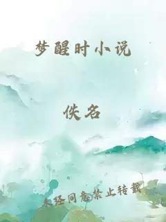 夢(mèng)醒時(shí)小說