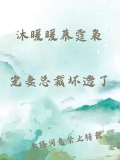 沐暖暖慕霆梟