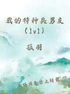 我的特種兵男友（1v1）