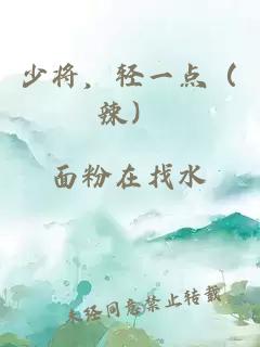 少將，輕一點(diǎn)（辣）