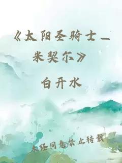 《太陽圣騎士—米契爾》