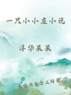 一只小小莊小說