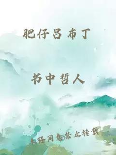 肥仔呂布丁