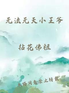 無(wú)法無(wú)天小王爺