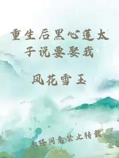 重生后黑心蓮太子說要娶我