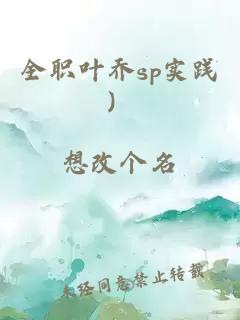 全職葉喬sp實踐）