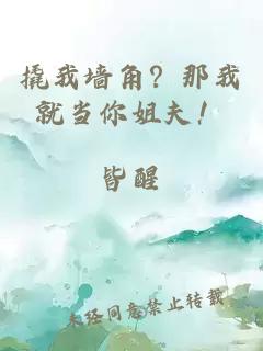 撬我墻角？那我就當你姐夫！