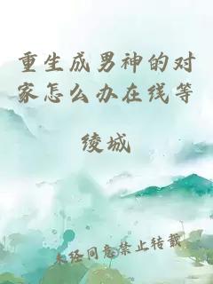 重生成男神的對家怎么辦在線等