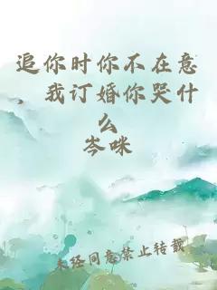 追你時你不在意，我訂婚你哭什么