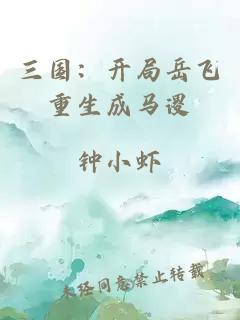 三國：開局岳飛重生成馬謖