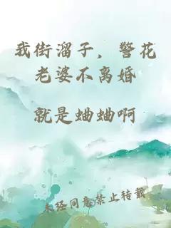 我街溜子，警花老婆不離婚