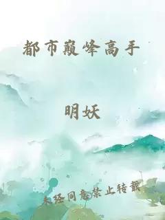 都市巔峰高手