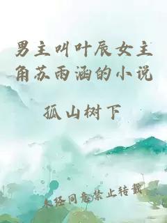 男主叫葉辰女主角蘇雨涵的小說