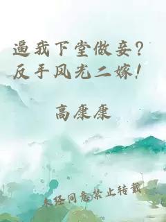 逼我下堂做妾？反手風(fēng)光二嫁！