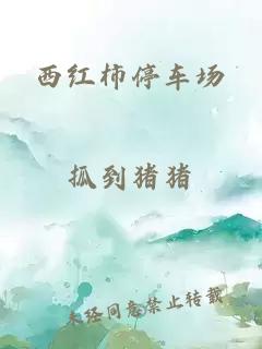 西紅柿停車(chē)場(chǎng)