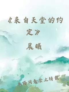 《來自天堂的約定》