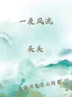 一夜風(fēng)流