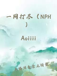一網(wǎng)打盡（NPH）