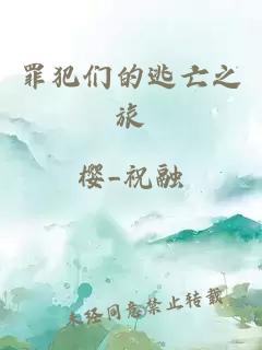 罪犯們的逃亡之旅