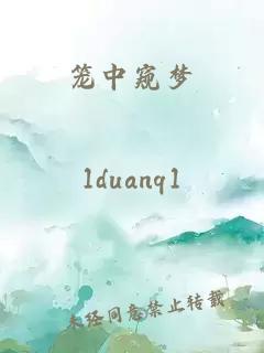 籠中窺夢(mèng)