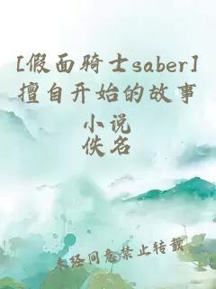 [假面騎士saber]擅自開(kāi)始的故事小說(shuō)