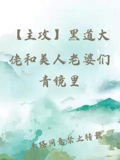 【主攻】黑道大佬和美人老婆們