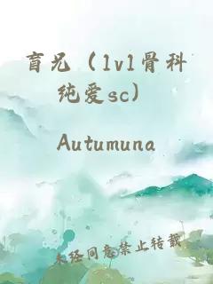 盲兄（1v1骨科純愛sc）