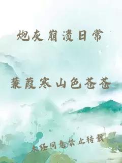 炮灰崩潰日常