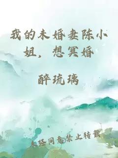 我的未婚妻陳小姐，想冥婚
