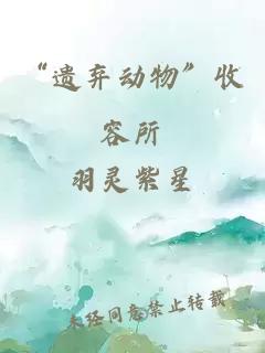 “遺棄動(dòng)物”收容所