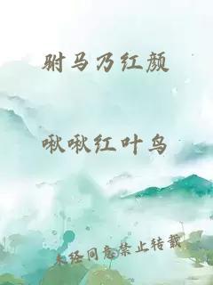 駙馬乃紅顏