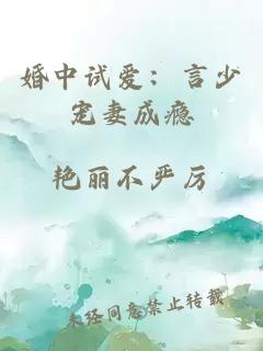 婚中試愛：言少寵妻成癮