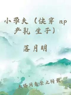 小孕夫（快穿 np 產(chǎn)乳 生子）