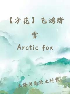 【方花】飛鴻踏雪