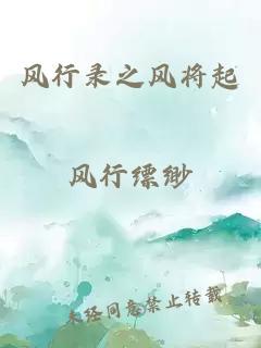 風(fēng)行錄之風(fēng)將起