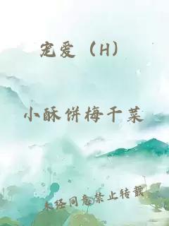 寵愛(ài)（H）