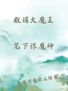 數據大魔王