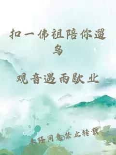 扣一佛祖陪你遛鳥