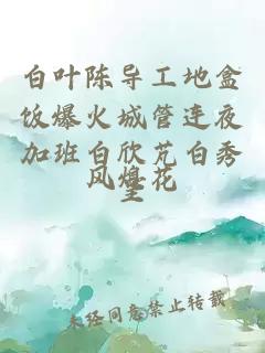 白葉陳導(dǎo)工地盒飯爆火城管連夜加班白欣芃白秀呈