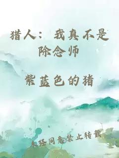 獵人：我真不是除念師